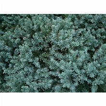 Нажмите чтобы увеличить изображение