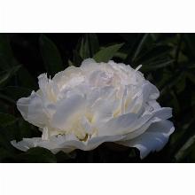 Нажмите чтобы увеличить изображение