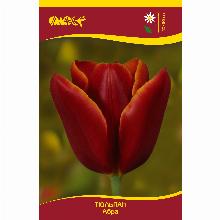 Нажмите чтобы увеличить изображение