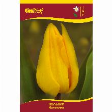 Нажмите чтобы увеличить изображение