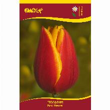 Нажмите чтобы увеличить изображение