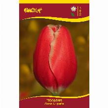 Нажмите чтобы увеличить изображение