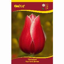 Нажмите чтобы увеличить изображение