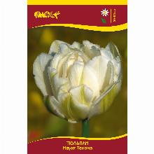 Нажмите чтобы увеличить изображение