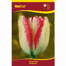 Нажмите чтобы увеличить изображение