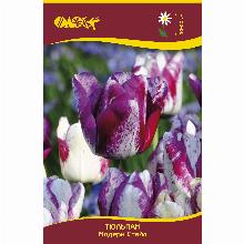 Нажмите чтобы увеличить изображение