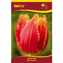 Нажмите чтобы увеличить изображение