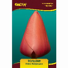 Нажмите чтобы увеличить изображение