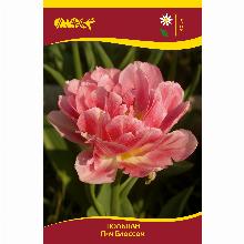 Нажмите чтобы увеличить изображение