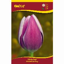 Нажмите чтобы увеличить изображение