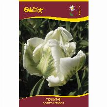 Нажмите чтобы увеличить изображение