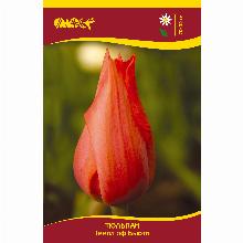 Нажмите чтобы увеличить изображение