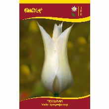 Нажмите чтобы увеличить изображение