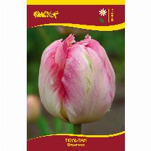 Нажмите чтобы увеличить изображение