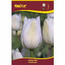 Нажмите чтобы увеличить изображение