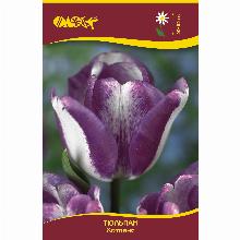 Нажмите чтобы увеличить изображение