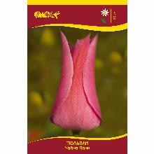 Нажмите чтобы увеличить изображение