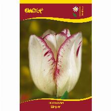 Нажмите чтобы увеличить изображение