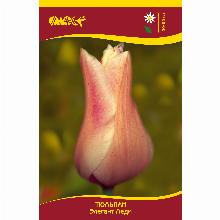 Нажмите чтобы увеличить изображение