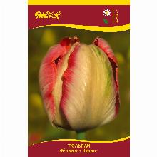 Нажмите чтобы увеличить изображение