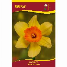 Нажмите чтобы увеличить изображение