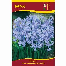 Нажмите чтобы увеличить изображение