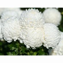 Нажмите чтобы увеличить изображение