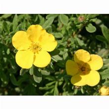 Нажмите чтобы увеличить изображение