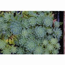 Нажмите чтобы увеличить изображение