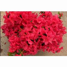 Нажмите чтобы увеличить изображение