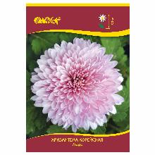 ХРИЗАНТЕМА КОРЕЙСКАЯ ЛАДА карточка