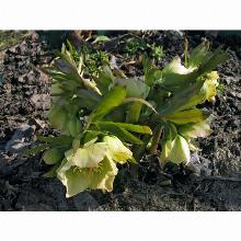 Нажмите чтобы увеличить изображение