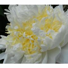 Нажмите чтобы увеличить изображение