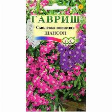 СМОЛЕВКА ПОВИСЛАЯ ШАНСОН 0,05 Г гавриш