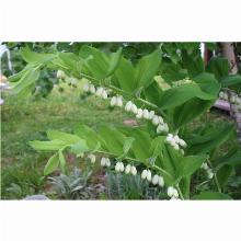 Нажмите чтобы увеличить изображение