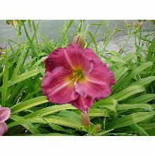 Нажмите чтобы увеличить изображение