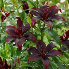 Нажмите чтобы увеличить изображение