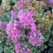 Нажмите чтобы увеличить изображение