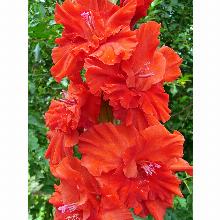 Нажмите чтобы увеличить изображение