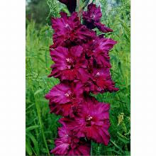 Нажмите чтобы увеличить изображение