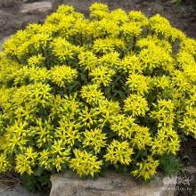 Нажмите чтобы увеличить изображение