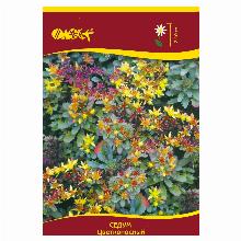 СЕДУМ ЦВЕТОНОСНЫЙ карточка