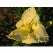 Нажмите чтобы увеличить изображение