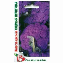 КАПУСТА ЦВЕТНАЯ СИЦИЛИЯ ПУРПУРНАЯ 0,5 Г биотехника