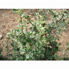 Нажмите чтобы увеличить изображение