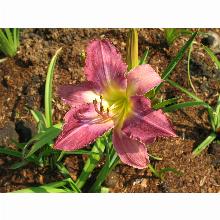 Нажмите чтобы увеличить изображение