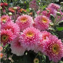 Нажмите чтобы увеличить изображение