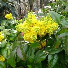 Нажмите чтобы увеличить изображение