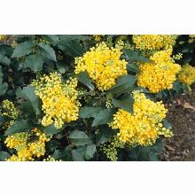 Нажмите чтобы увеличить изображение