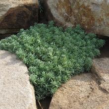 Нажмите чтобы увеличить изображение